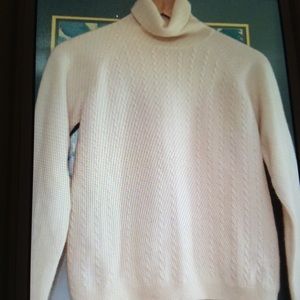 Cashmere Turtleneck