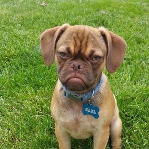 Meet your Posher, Ryan