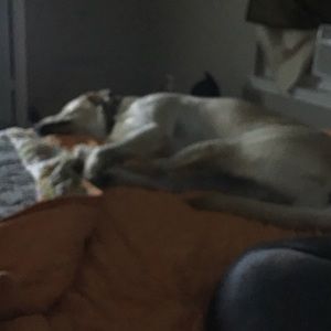 Meet your Posher, Steph