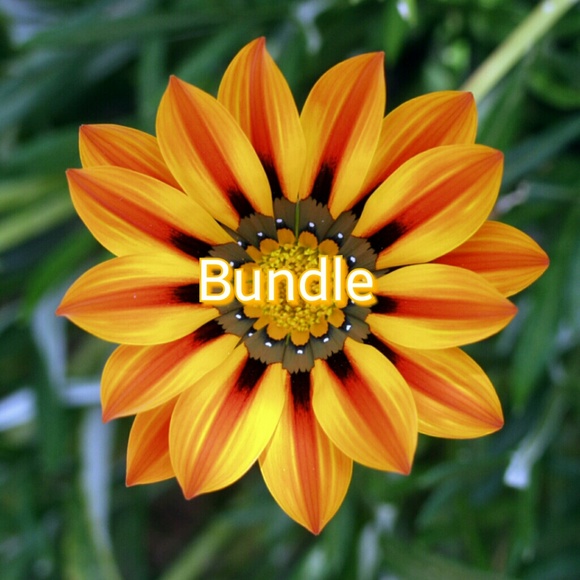 Bundle