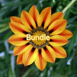 Bundle
