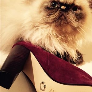 Burgundy knee high leather suede boots! So good.