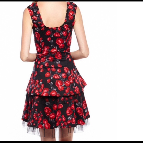 ⚡️NWT⚡️HEARTS & ROSES Tiered Dress - Picture 2 of 2