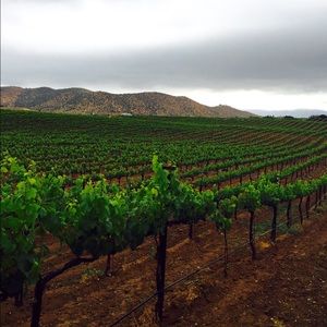 Meet your Posher, Shelia