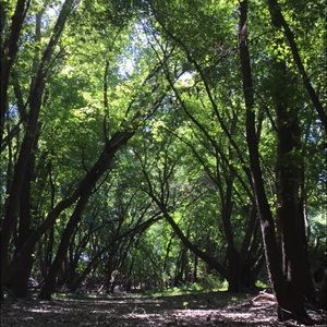 Meet your Posher, Ava