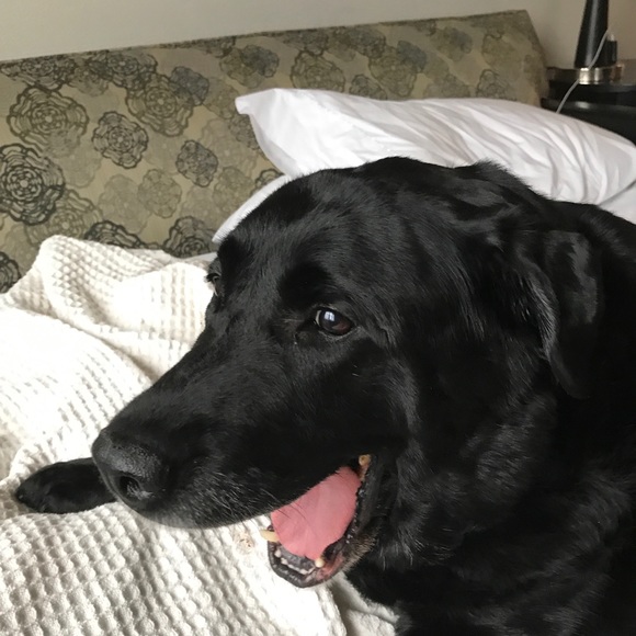 Meet Your Posher, Maddie! Posh Ambassador 💕 - Picture 4 of 5