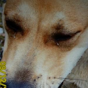 Meet your Posher, Gracey