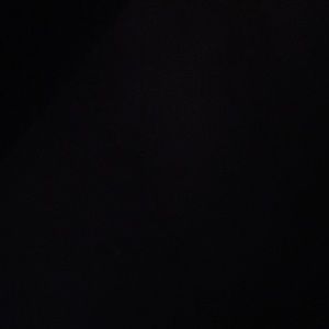 Meet your Posher, Daisy