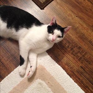 Meet your Posher, Pam