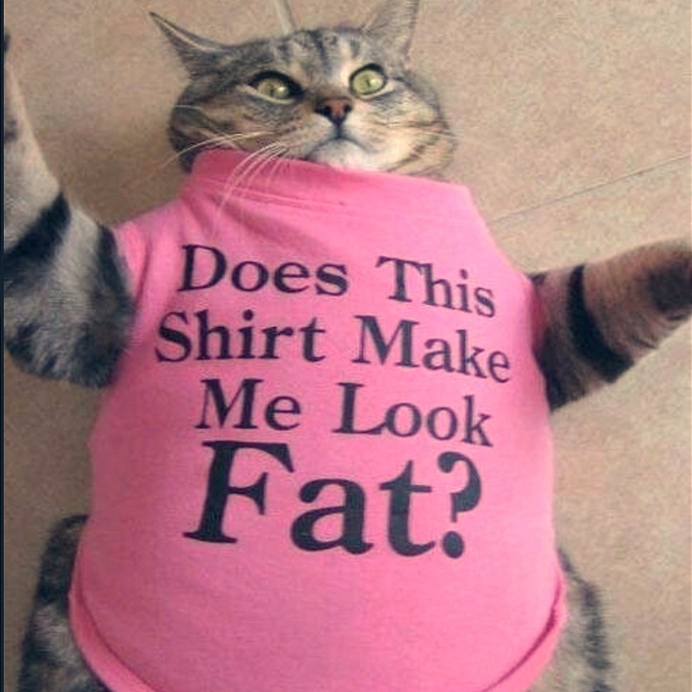 Meet your Posher, Rachael