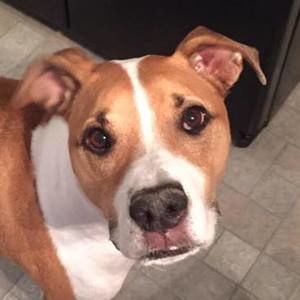 Meet your Posher, Audra