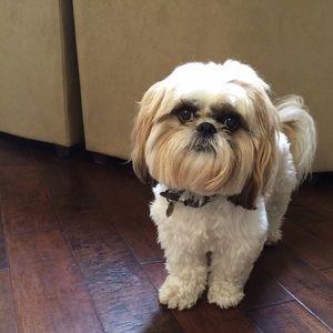 Meet your Posher, Julie