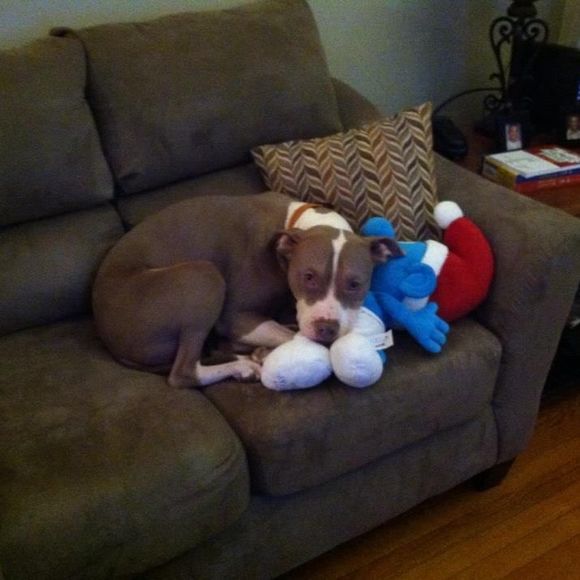 Meet your Posher, Sarah - Picture 1 of 1