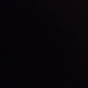 Meet your Posher, Lily