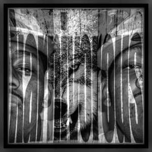 Meet your Posher, Terrell