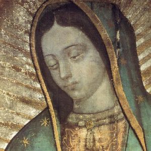 Meet your Posher, Tracey