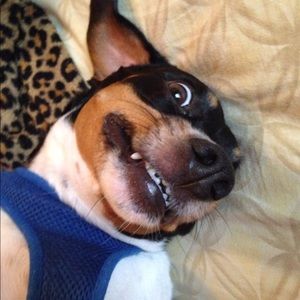 Meet your Posher, Briana