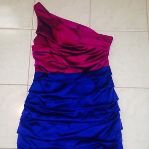 Express One Shoulder Dress