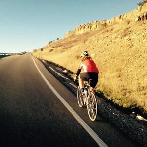 Meet your Posher, Carter