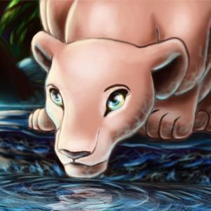 Meet your Posher, Terra