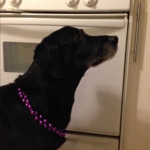 Meet your Posher, Maxwell