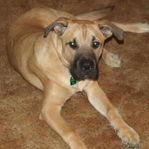 Meet your Posher, Tricia