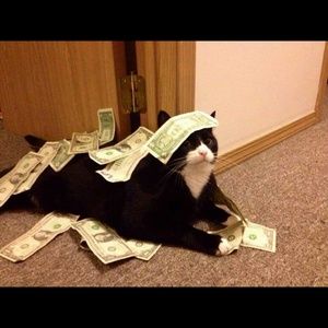 Meet your Posher, Griselda