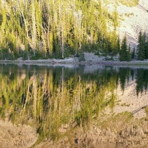 Meet your Posher, Krystal