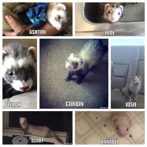 Meet your seller!!! - Picture 4 of 4