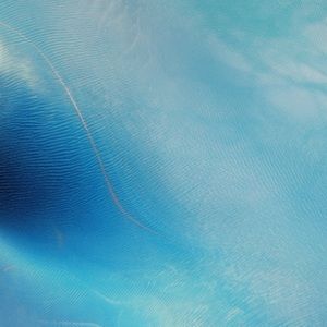 Meet your Posher, Mia