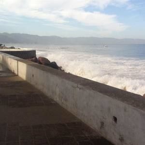 Meet your Posher, Missy