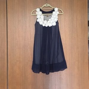 Blue and White Trapeze Dress