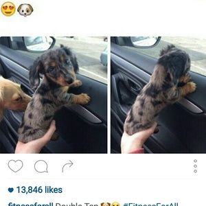 Meet your Posher, Mariah