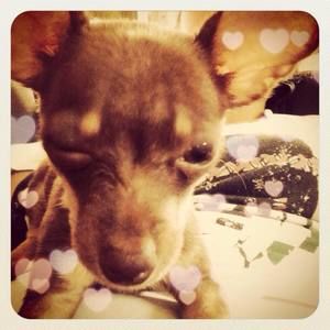 Meet your Posher, Arielle