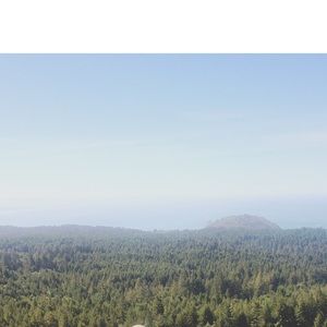 Meet your Posher, Meg