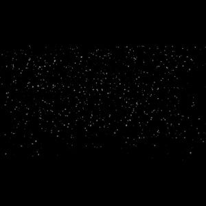 Meet your Posher, Damon