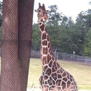 Meet your Posher, Shannon