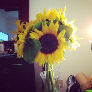 Meet your Posher, Khushbu