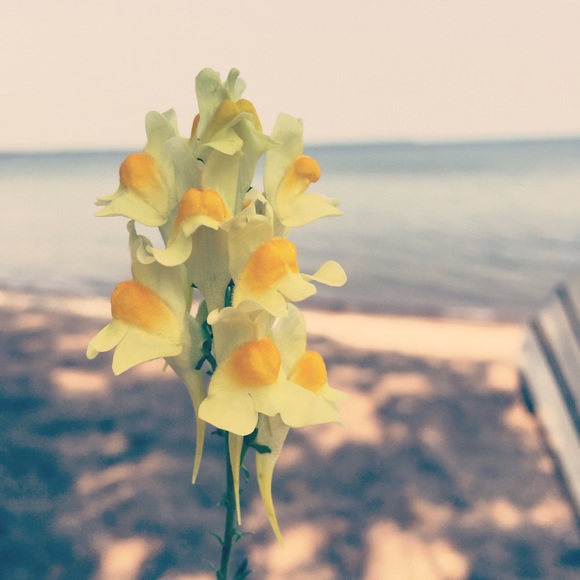 Meet your Posher, Whitney - Picture 1 of 1