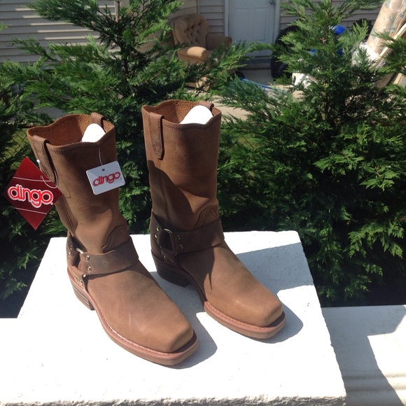 dingo harness boots