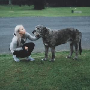 Meet your Posher, Liz