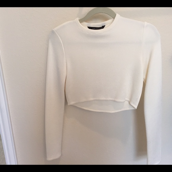 Zara long sleeve crop top small!