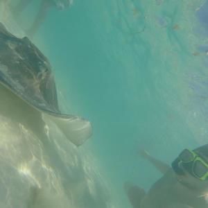 Meet your Posher, Peter