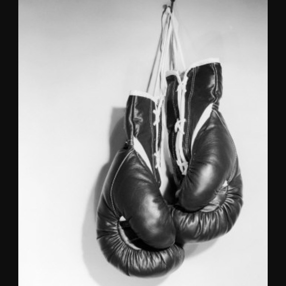 Meet your Posher, Molly - Picture 3 of 4