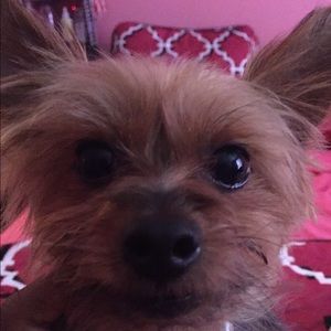 Meet your Posher, Cori