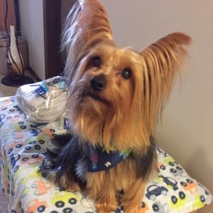 Meet your Posher, Justyna