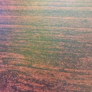 Meet your Posher, Lynzi