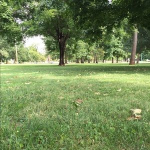 Meet your Posher, Marie