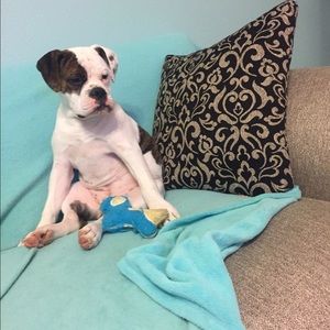 Meet your Posher, Jordan