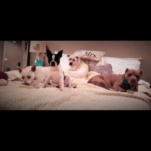 Meet your Posher, Erin